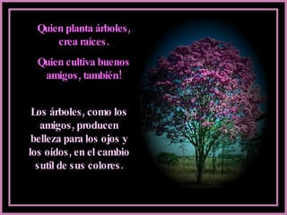 Quien planta árboles, crea raíces. Quien cultiva buenos amigos, también! Los árboles, como los amigos, producen belleza para los ojos y los oídos, en el cambio sutil de sus colores. 