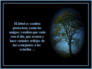 El árbol es sombra protectora, como los amigos; sombra que varía con el día, que avanza y hace variados reflejos de luz semejantes a las  estrellas ... 
