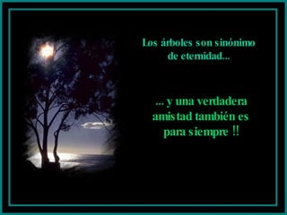 Los árboles son sinónimo de eternidad... ... y una verdadera amistad también es para siempre !! 