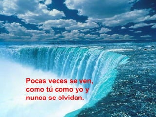 Pocas veces se ven, como tú como yo y nunca se olvidan. 