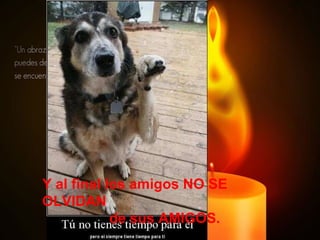 Y al final los amigos NO SE OLVIDAN de sus AMIGOS. 