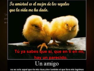 Tú ya sabes que si, que en ti en mi,  hay un parecido. 