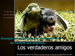 Aunque a veces por ir y venir por ahí no somos los mismos. 