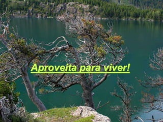 Aproveita para viver!
 