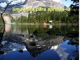uma hora para apreciá-la
 