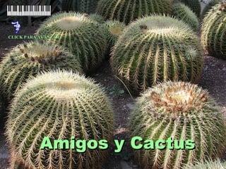 Amigos y Cactus CLICK PARA AVANZAR 