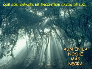 QUE SON CAPACES DE ENCONTRAR RAYOS DE LUZ...




                              AUN EN LA
                                NOCHE
                                 MÁS
                                NEGRA
 