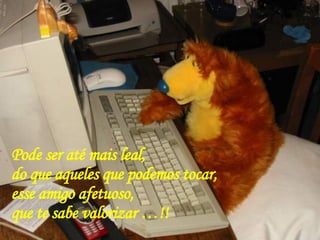 Pode ser até mais leal,  do que aqueles que podemos   tocar,  esse amigo afetuoso,  que te sabe valorizar …!!  