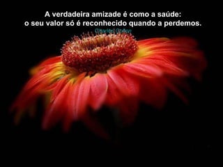 A verdadeira amizade é como a saúde: o seu valor só é reconhecido quando a perdemos. Charles  Colton 