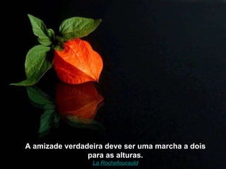 A amizade verdadeira deve ser uma marcha a dois para as alturas. La Rochefoucauld 