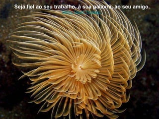 Seja fiel ao seu trabalho, à sua palavra, ao seu amigo. Henry David Thoreau.  