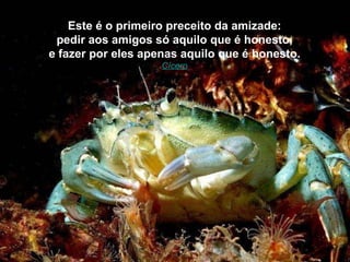 Este é o primeiro preceito da amizade: pedir aos amigos só aquilo que é honesto, e fazer por eles apenas aquilo que é honesto. Cícero 