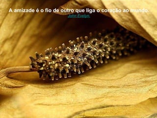 A amizade é o fio de outro que liga o coração ao mundo. John Evelyn. 