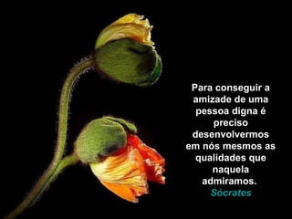 Para conseguir a amizade de uma pessoa digna é preciso desenvolvermos em nós mesmos as qualidades que naquela admiramos.  Sócrates 