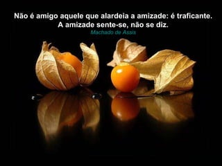 Não é amigo aquele que alardeia a amizade: é traficante. A amizade sente-se, não se diz. Machado de Assis 