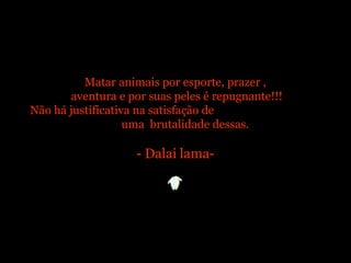 Matar animais por esporte, prazer ,
aventura e por suas peles é repugnante!!!
Não há justificativa na satisfação de
uma brutalidade dessas.
- Dalai lama-
 