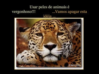 Usar peles de animais é
vergonhoso!!! ...Vamos apagar esta
idéia ...
 