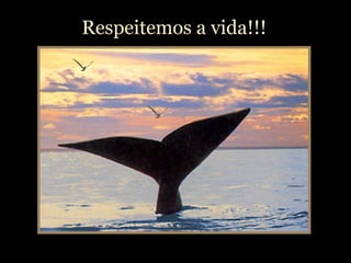 Respeitemos a vida!!!
 