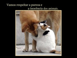 Vamos respeitar a pureza e
a inocência dos animais.
 