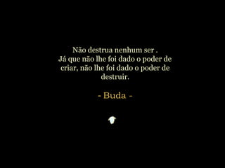 Não destrua nenhum ser .
Já que não lhe foi dado o poder de
criar, não lhe foi dado o poder de
destruir.
- Buda -
 