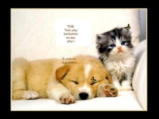 TOB,
Tem uma
borboleta
no seu
olho !
E uma na
sua orelha
 