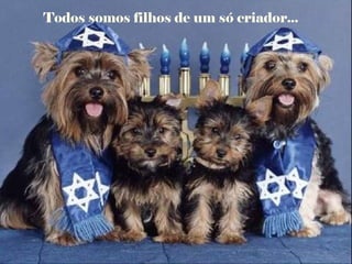 Todos somos filhos de um só criador...
 