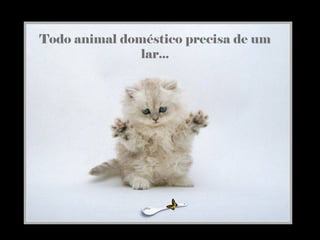Todo animal doméstico precisa de um
lar...
 