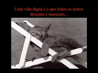 Uma vida digna é o que todos os reinos
desejam e merecem...
 