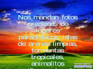 Nos mandan fotos preciosas de lugares paradisíacos, islas de arenas limpias, tormentas tropicales, animalitos cariñosos, etc, etc. 