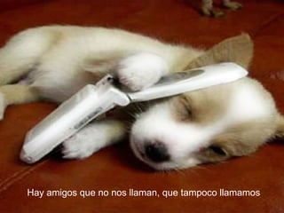 Hay amigos que no nos llaman, que tampoco llamamos 