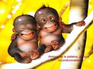 Amigos de la palabra, amigos incondicionales 