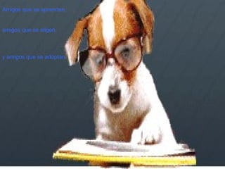 Amigos que se aprenden,  amigos que se eligen,  y amigos que se adoptan. 