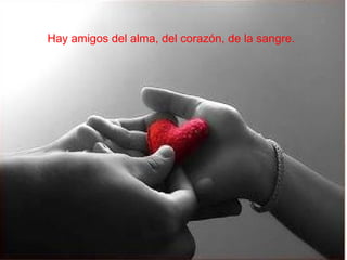 Hay   amigos del alma, del corazón, de la sangre.   