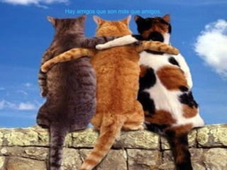 Hay amigos que son más que amigos.  