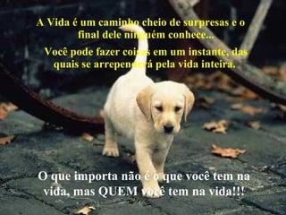 A Vida é um caminho cheio de surpresas e o
final dele ninguém conhece...
Você pode fazer coisas em um instante, das
quais se arrependerá pela vida inteira.
O que importa não é o que você tem na
vida, mas QUEM você tem na vida!!!
 