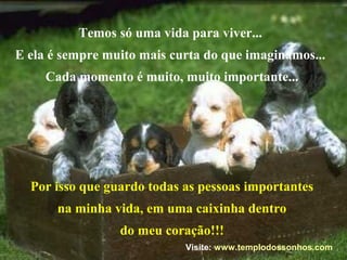 Temos só uma vida para viver...
E ela é sempre muito mais curta do que imaginamos...
Cada momento é muito, muito importante...
Por isso que guardo todas as pessoas importantes
na minha vida, em uma caixinha dentro
do meu coração!!!
Visite: www.templodossonhos.com
 