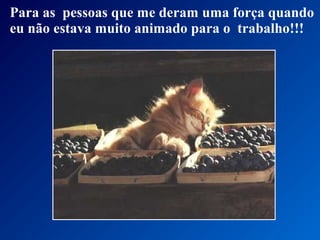 Para as pessoas que me deram uma força quando
eu não estava muito animado para o trabalho!!!
 