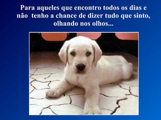 Para aqueles que encontro todos os dias e
não tenho a chance de dizer tudo que sinto,
olhando nos olhos...

 