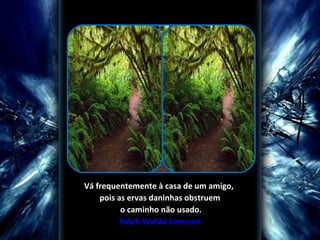  
Vá frequentemente à casa de um amigo, 
pois as ervas daninhas obstruem
 o caminho não usado.
Ralph Waldo Emerson

 