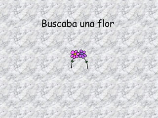 Buscaba una flor