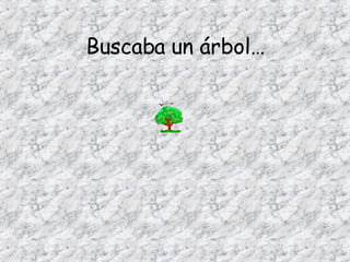 Buscaba un árbol…