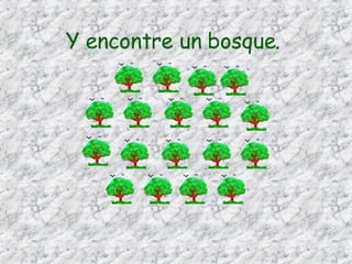 Y encontre un bosque.