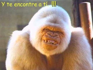 Ka l Y te encontre a tí. !!!