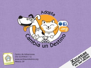 Centro de Adopciones
(55) 52193610 / 11
www.cambiaundestino.org
México, DF
 