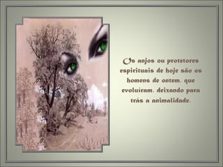 Os anjos ou protetores espirituais de hoje são os homens de ontem, que evoluíram, deixando para trás a animalidade . 