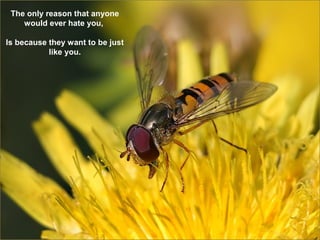 The only reason that anyone
    would ever hate you,

Is because they want to be just
           like you.
 