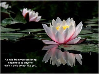 A smile from you can bring
   happiness to anyone,
even if they do not like you.
 