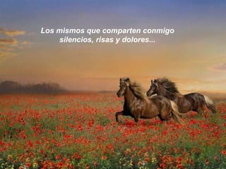 Los mismos que comparten conmigo silencios, risas y dolores... 