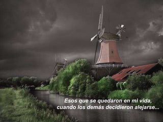 Esos que se quedaron en mi vida, cuando los demás decidieron alejarse... 