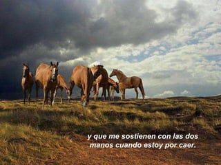 y que me sostienen con las dos manos cuando estoy por caer. 